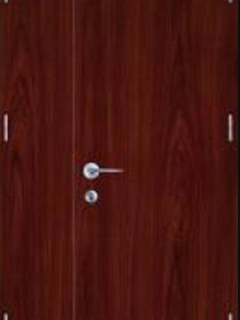 cửa chống cháy SM002